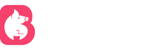 万里长征每日大赛